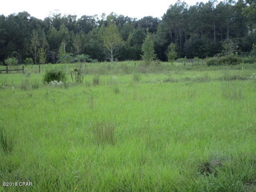 Nice level lot in Bristol.  Close to schools, river and national forest.  Short commute to Tallahassee and Marianna.