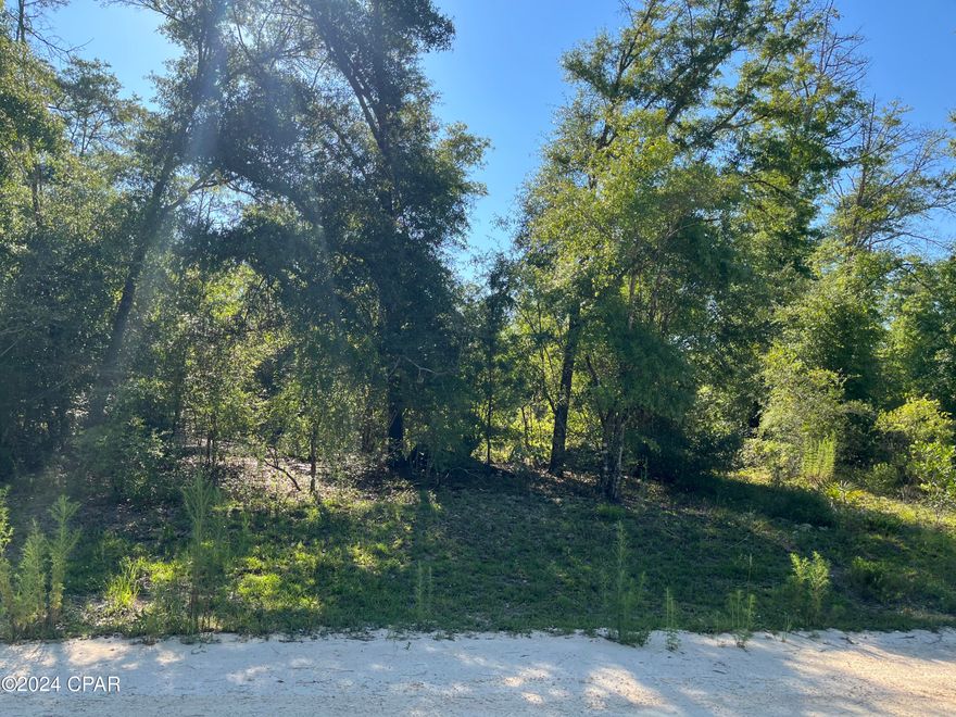 Don't miss out on this rare opportunity to own 2 neighboring parcels totaling 2.54 acres in Compass Lake in the Hills. This wooded residential lot is located on the corner of Putnam Ave and Genesso Ave! This serene property is an ideal canvas for your dream home. It's conveniently situated close to Compass Lake, a picturesque spot for boating, skiing, fishing, and swimming. The community amenities include a clubhouse, restaurant, tennis courts, swimming pool, picnic areas, and a business center. Plus, it's just a short drive from Hwy 231, approximately 45 minutes to Panama City, and about an hour to the stunning Gulf Coast beaches. Don't miss this investment opportunity in the flourishing panhandle of Northwest Florida! For directional purposes use the nearby address 950 Genesso Ave.