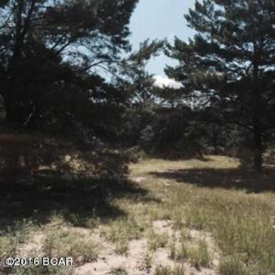 We have multiple offers.  All highest and best offers need to be received by end of business 3/21/16.  327 feet of Hwy 77 road frontage!  Actually 2 lots which make a 3.86 acre large lot.  A great investment possibility.  Close to the airport and Hwy 20.  The land has multiple fruit trees and a fenced place for goats.  This part of Bay County is growing fast so don't miss out.  Parcel #07500-130-000 and #07500-135-000.  Tenant occupied, need 24 hr notice.  Currently zoned Residential 2 which allows for 1 dwelling per acre per Wayne at Bay County Zoning but county said it could be easily changed to commercial.