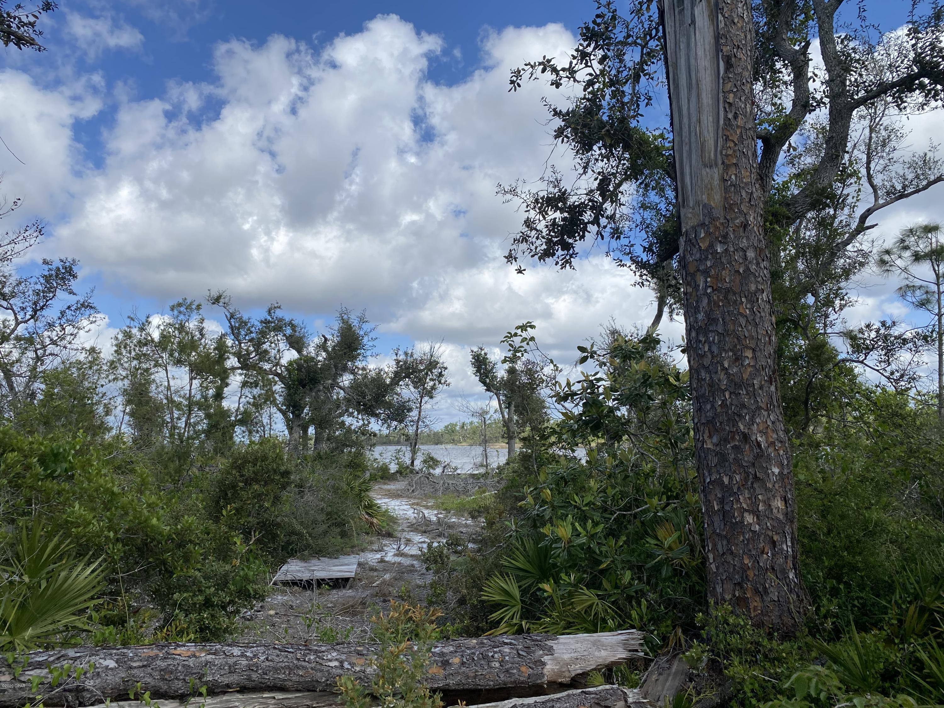 The Meadows & The Pointe - Land