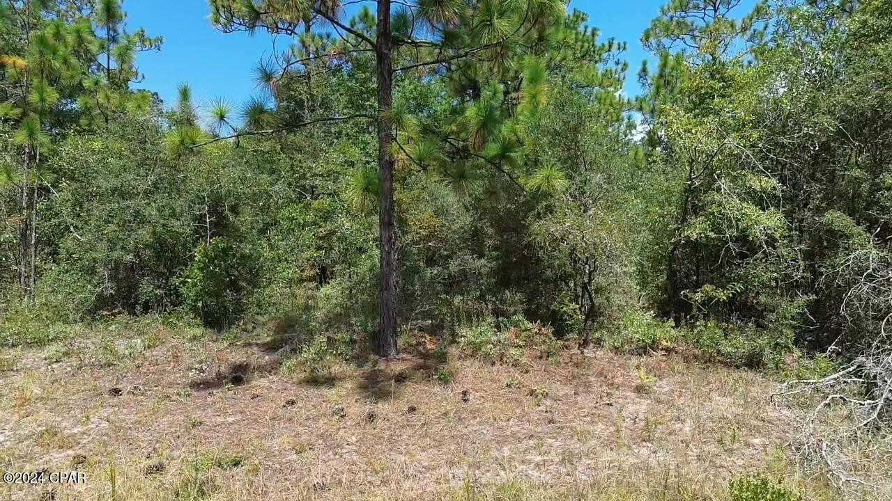 Sunny Hills Unit 7 - Land