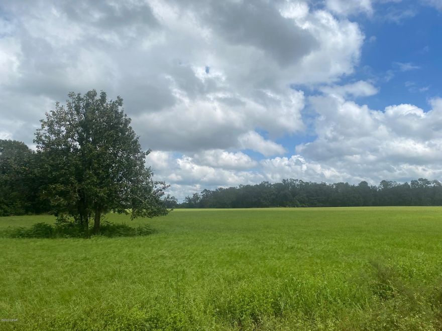 Beautiful 39 acres with a gentle rolling terrain.  Approximately 25 acres of lush grass with the rest in natural hardwoods.  There's a pond in the trees.  Lots of wildlife.  This property is perfect for agriculture or to build your dream home on!