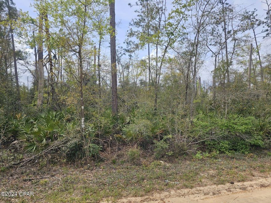 Owner Financing!!
1,000 down
10 yrs @ 10 %

.3 acre Just 25 Miles from Panama City Mall.

1 block off of Hwy 231 with easy access to everything the Florida Panhandle has to offer. 

Needs cleared and utilities. No Survey