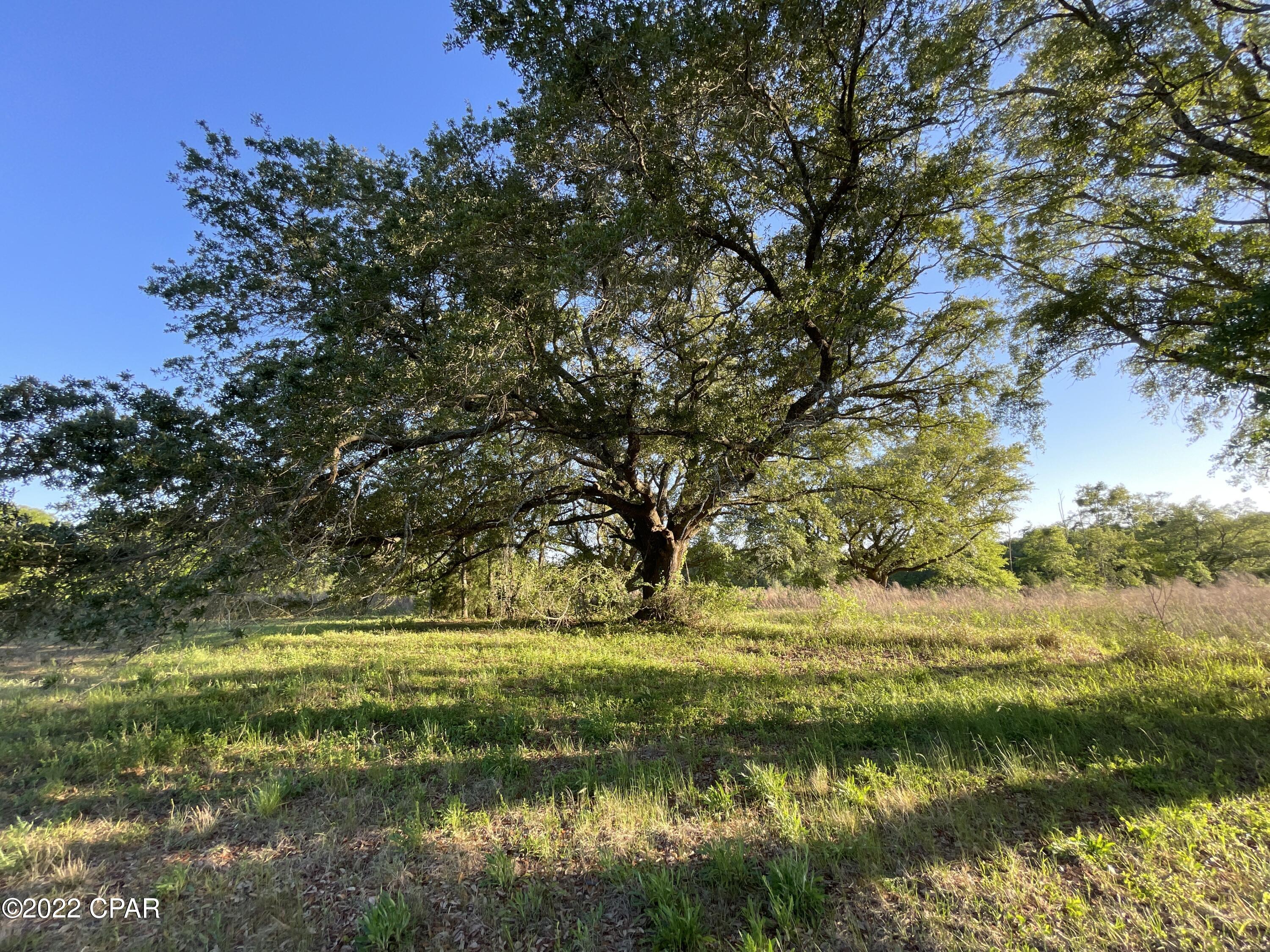 [No Recorded Subdiv] - Land