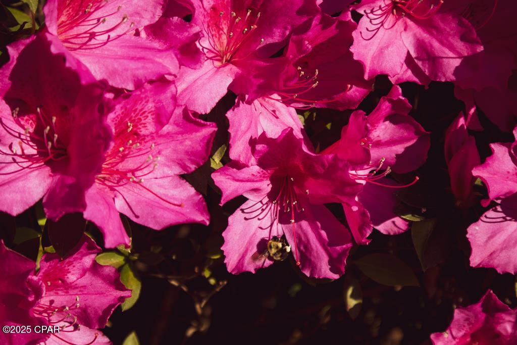 Wimico - Residential