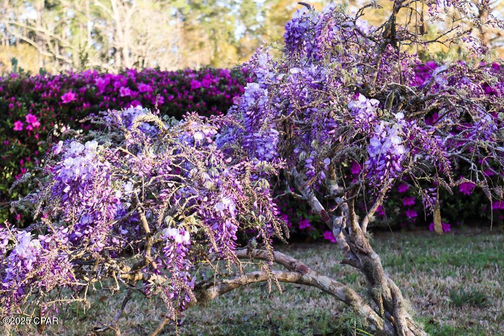 Wimico - Residential