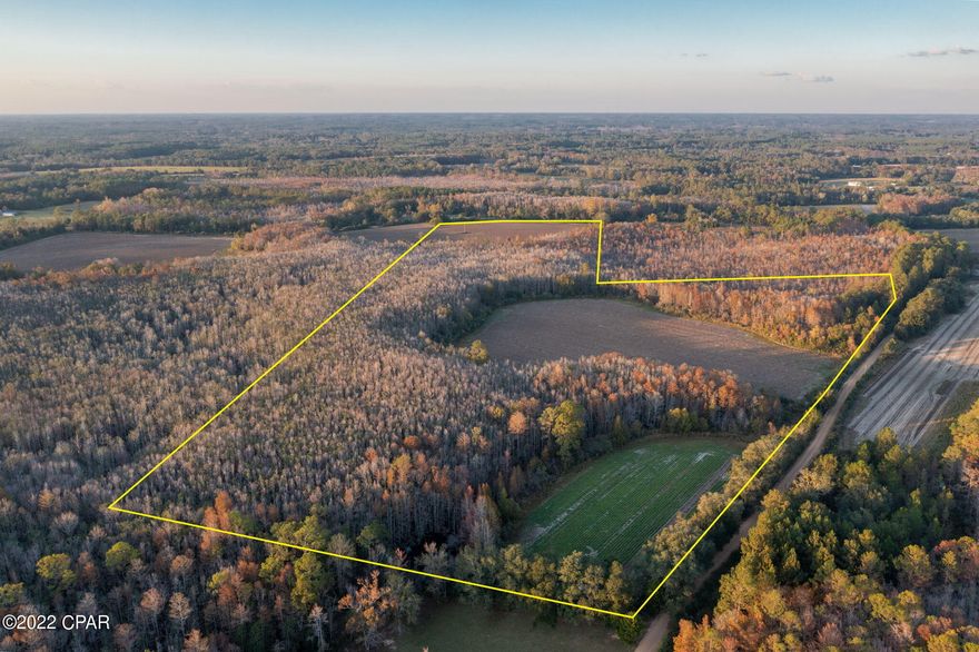 51 acre parcel located just North of Bonifay. The land features frontage on two county-maintained roads. Approximately 18 acres of the land is cropland. It has been farmed for cotton previously and cattle years ago, but is currently being farmed with peanuts that are about to be harvested. There is no written lease in place, just year-to-year. Most of the remaining acreage is classified as timber swampland so there are some wetlands on the property, but it is toward the middle of the property. This would be a great property to farm, hunt, raise livestock, or build your dream home in the midst of it. Enjoy the slower pace of life and untouched country land that Holmes County offers.