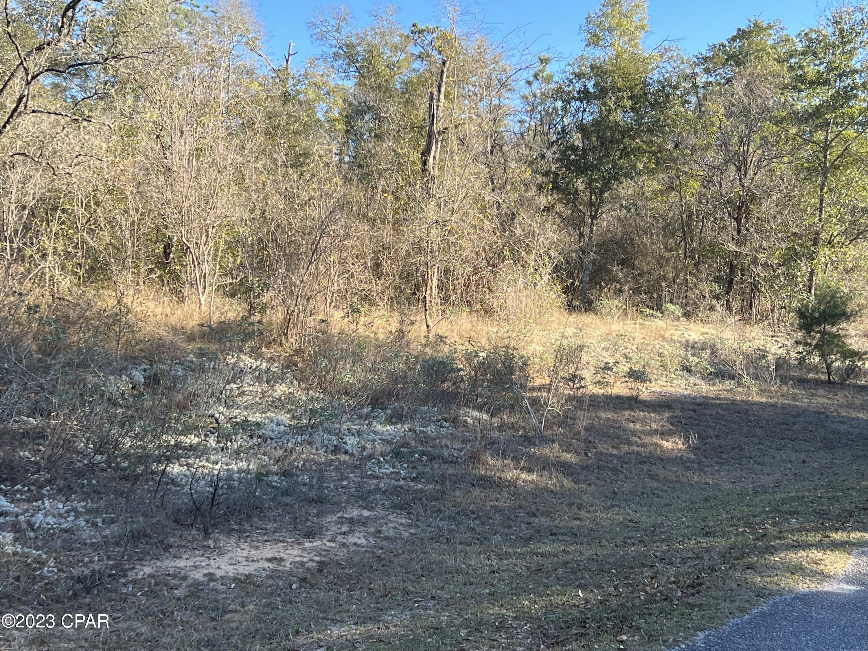 Paradise Lakes - Land