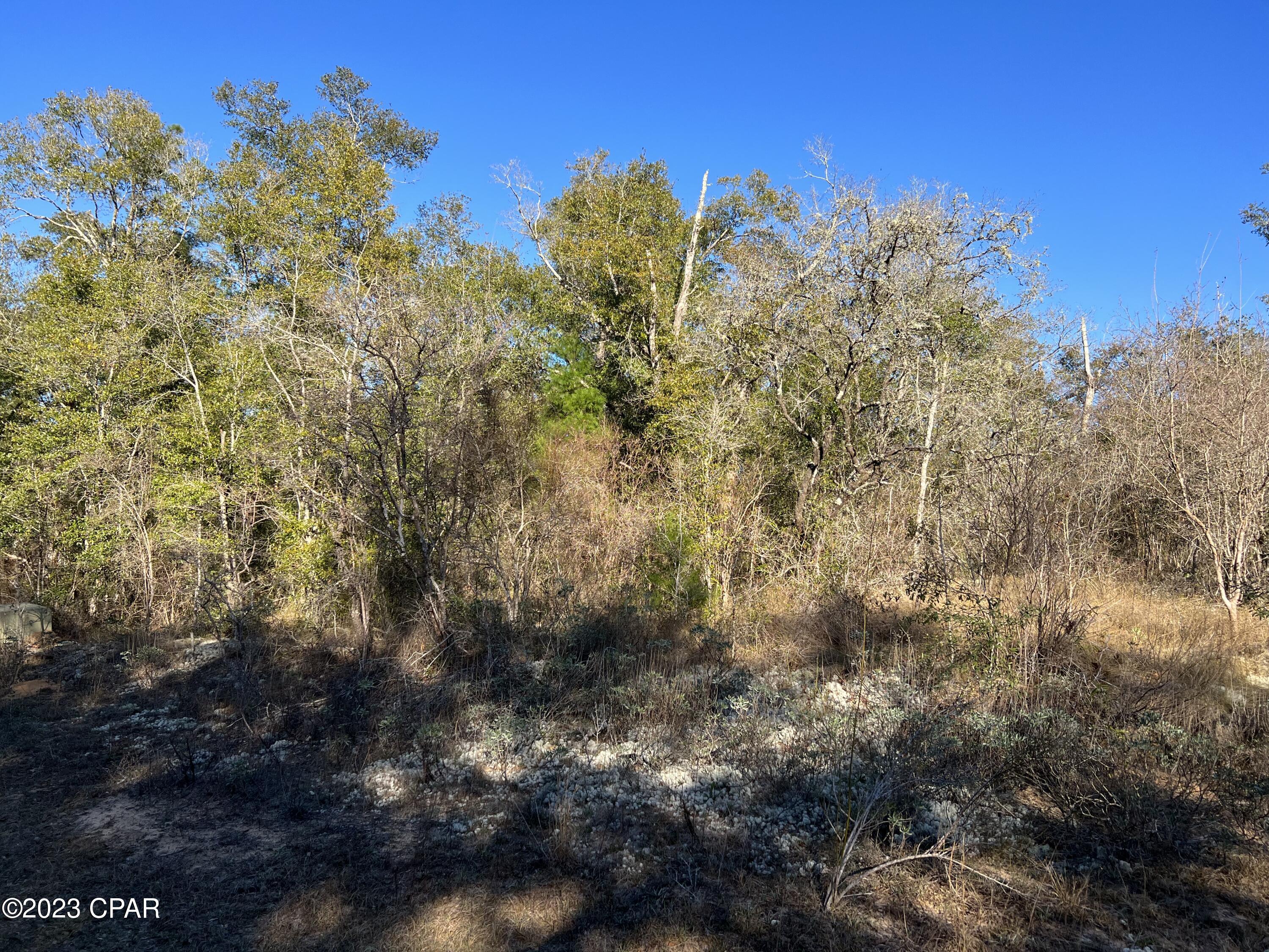 Paradise Lakes - Land