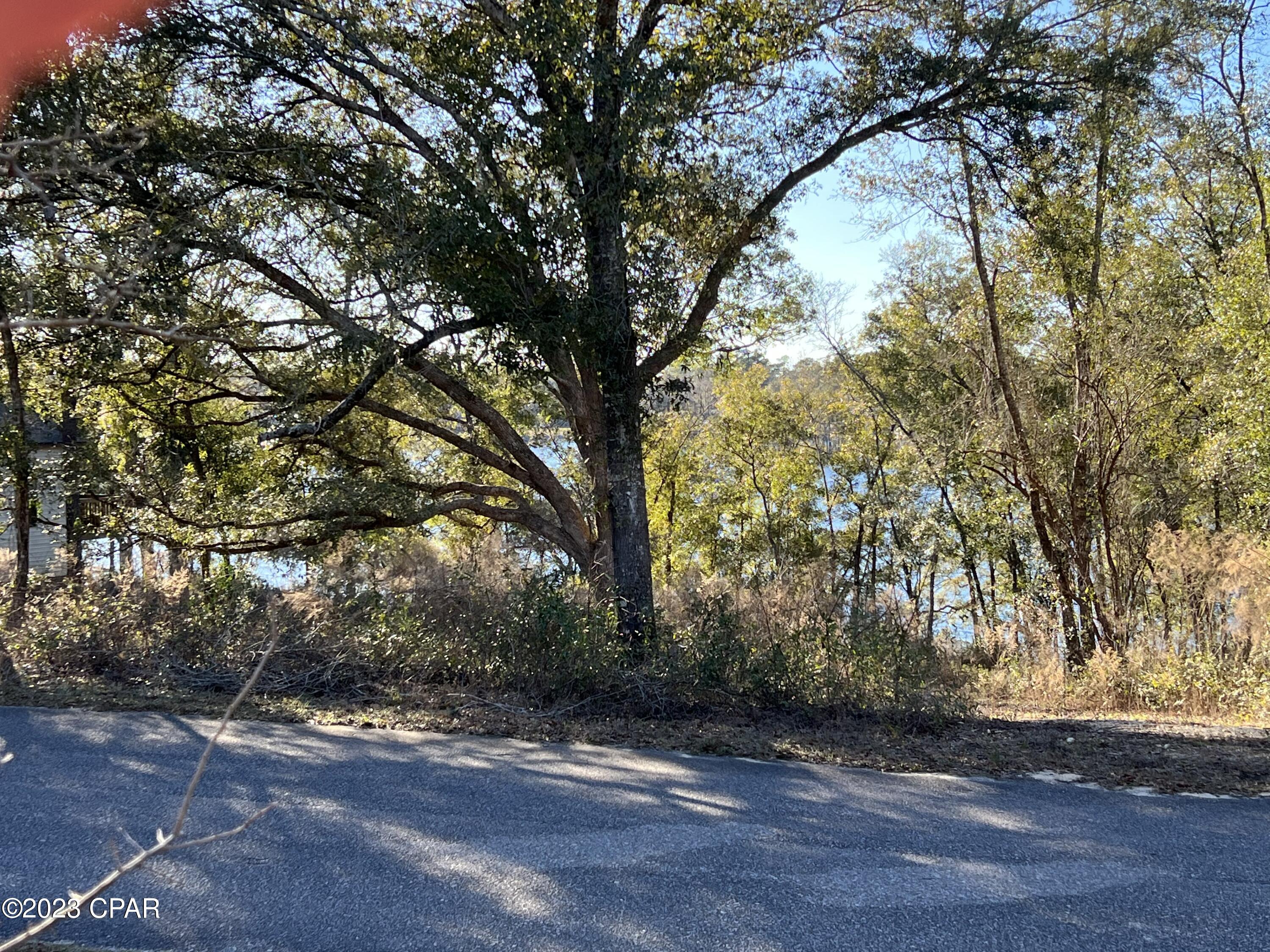 Paradise Lakes - Land