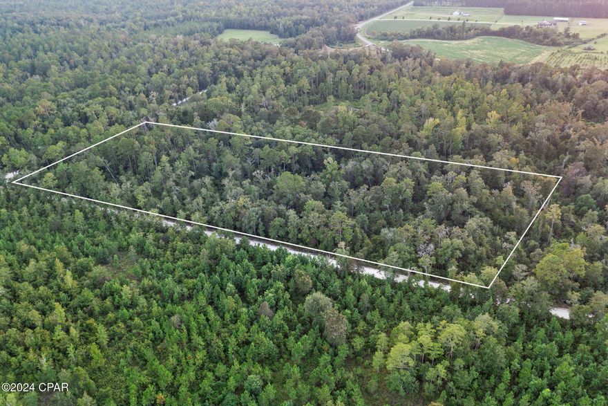 Unleash your imagination on this 10+/-acre stunning piece of property located just off Clayton Road! Envisioning a residential oasis? This blank canvas provides the perfect foundation and is an ideal spot for those seeking peace and solitude, all while being just a short drive to Hwy 77 and Interstate 10.