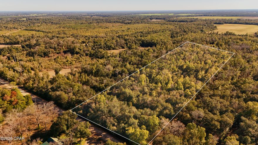 Amazing 11.3 Acres available in Oscar Rd!! Best priced lot on the market!!! Totally Flat and Dry!!! No HOA No Restrictions! Zoned AG2 (1 House per acre). Electric already in place! This perfect white canvas offer endless of possibilities! This one is not gonna last!! Act fast! 10 Acres available as well and owner will consider a slight discount if bought together. Priced aggressively to sell fast! Call this place your new home or buy it as an investment in a growing area like Greenwood FL!! Super close to Greenwood, Bascom, Alford and Marianna!!!