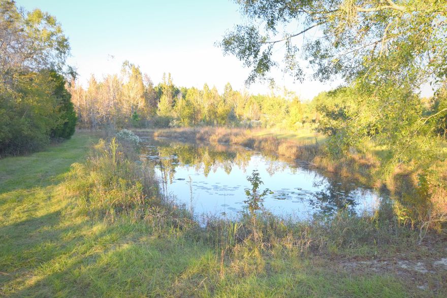 Quiet country living is a way of life that can easily be achieved with this beautiful 20-acre parcel. Build your dream home overlooking the pond, purchase as an investment or enjoy as a hunting retreat. Property includes a 50x60 pole barn and is located just minutes from Cope Road.