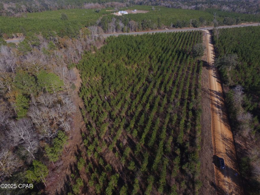 Check out this beautiful wooded four acre lot located with road frontage on Peanut Road a Justice Road .  It has young planted pines and is ready for you to build your dream home.  Seller has a current survey.  Proposed Deed Restrictions.  No manufactured homes allowed. Lot 3 will be lessed out of the parent parcel.