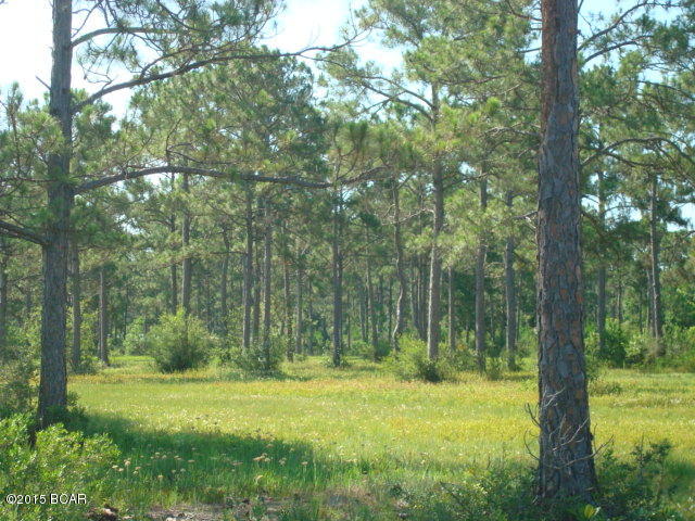 Sandy Creek & Country Club Phase II - Land