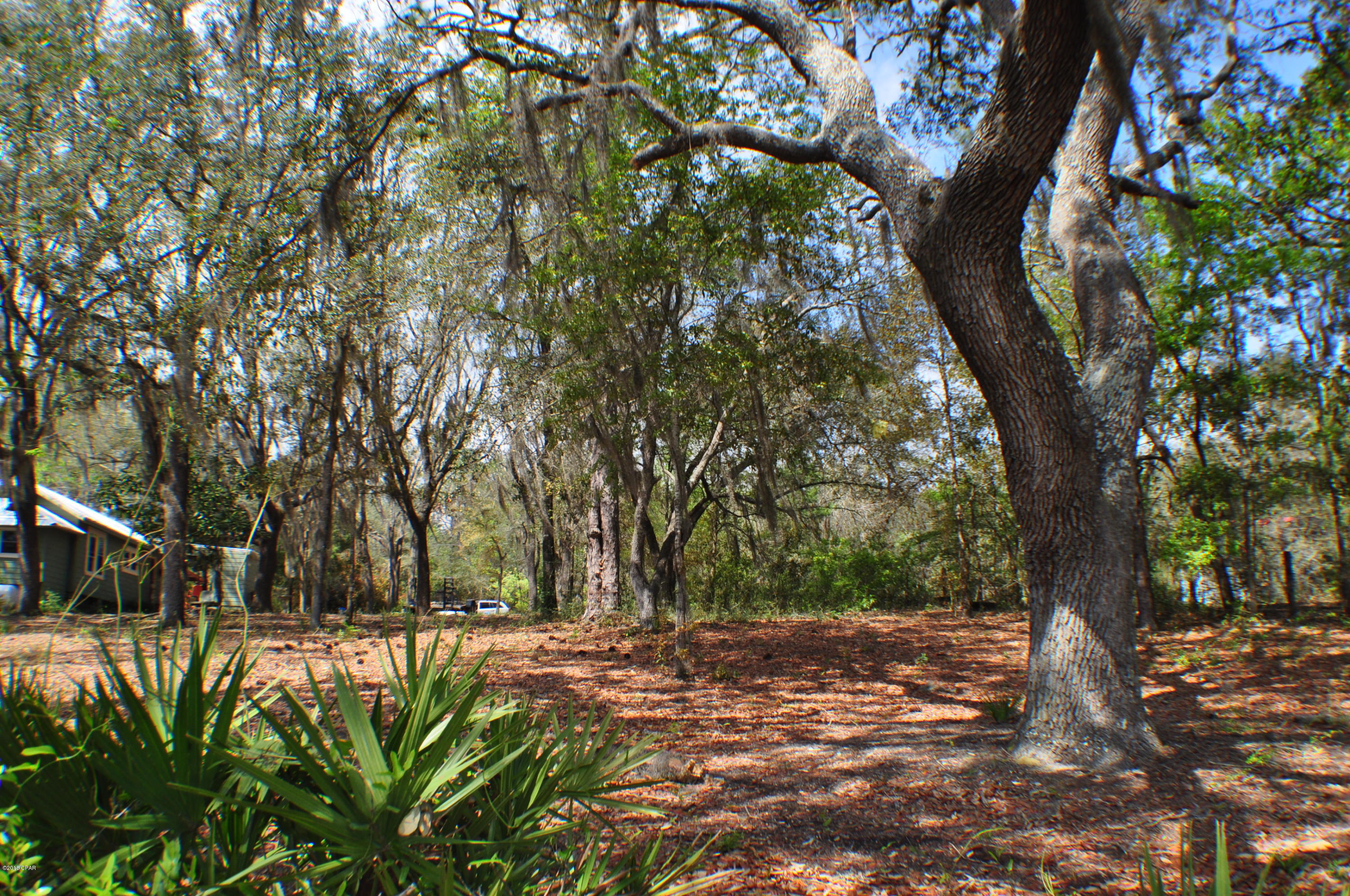 Banks River Lakes - Land