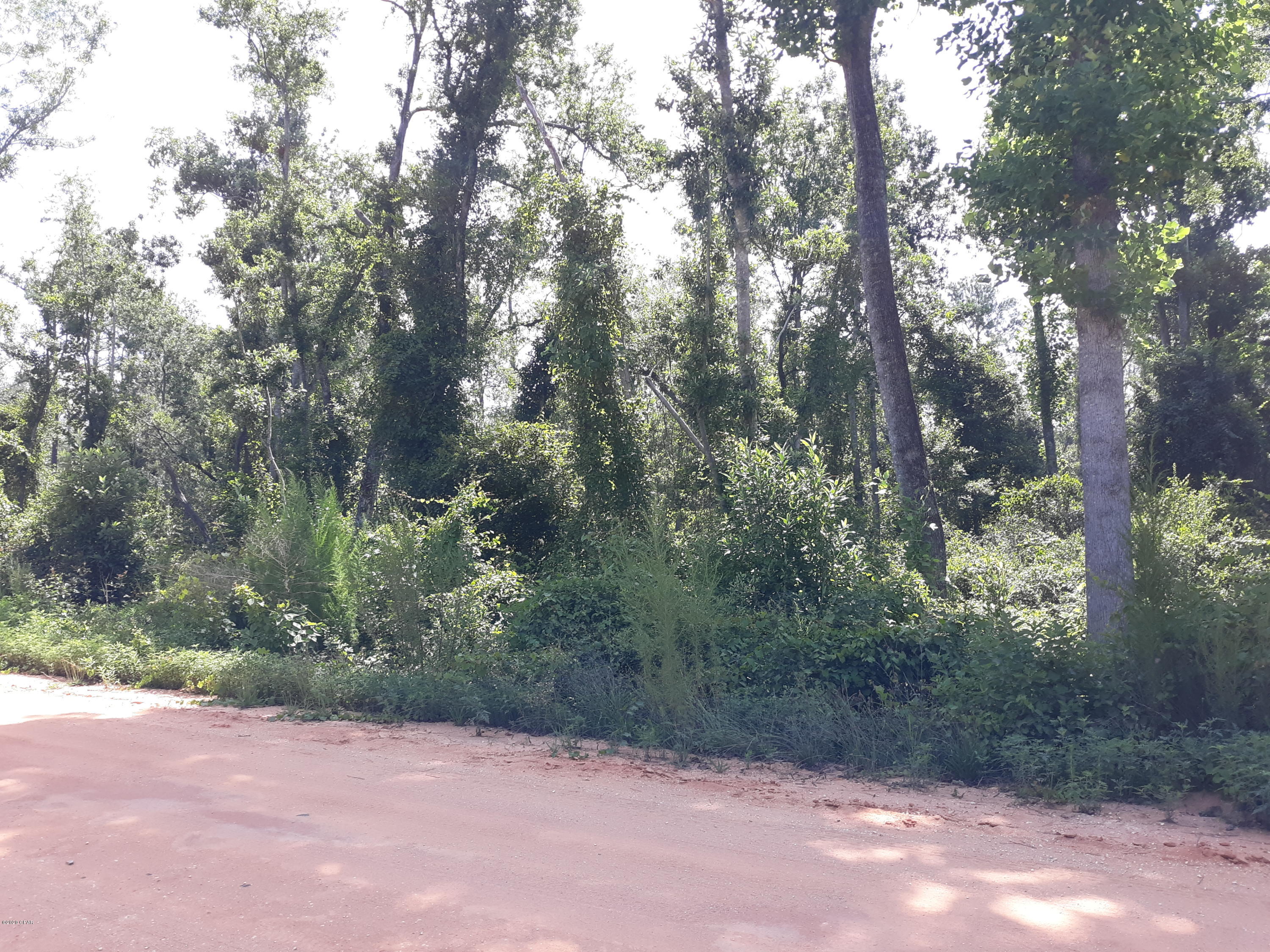 Compass Lake In The Hills - Land