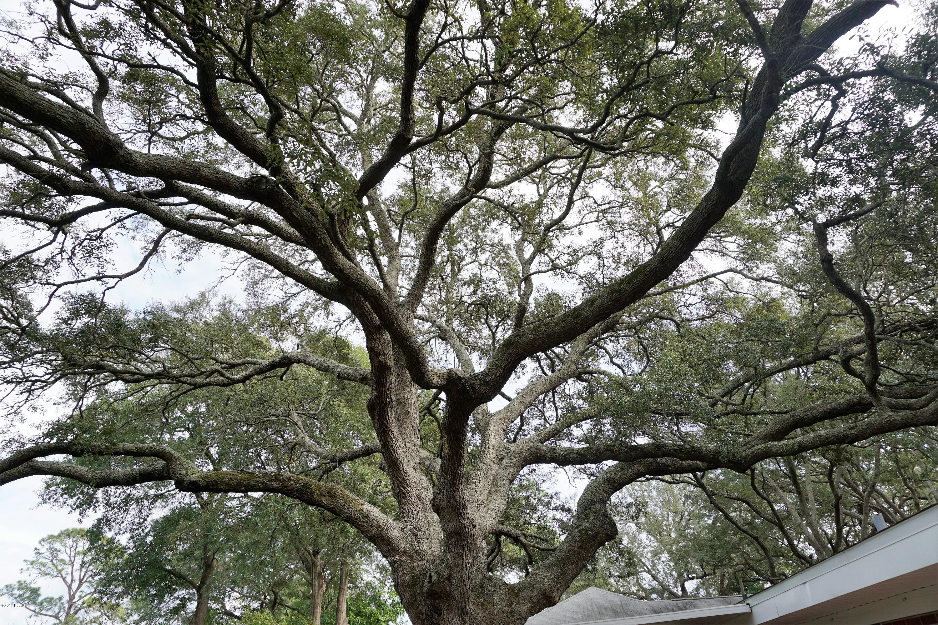 Woodlawn Unit 2 - Residential