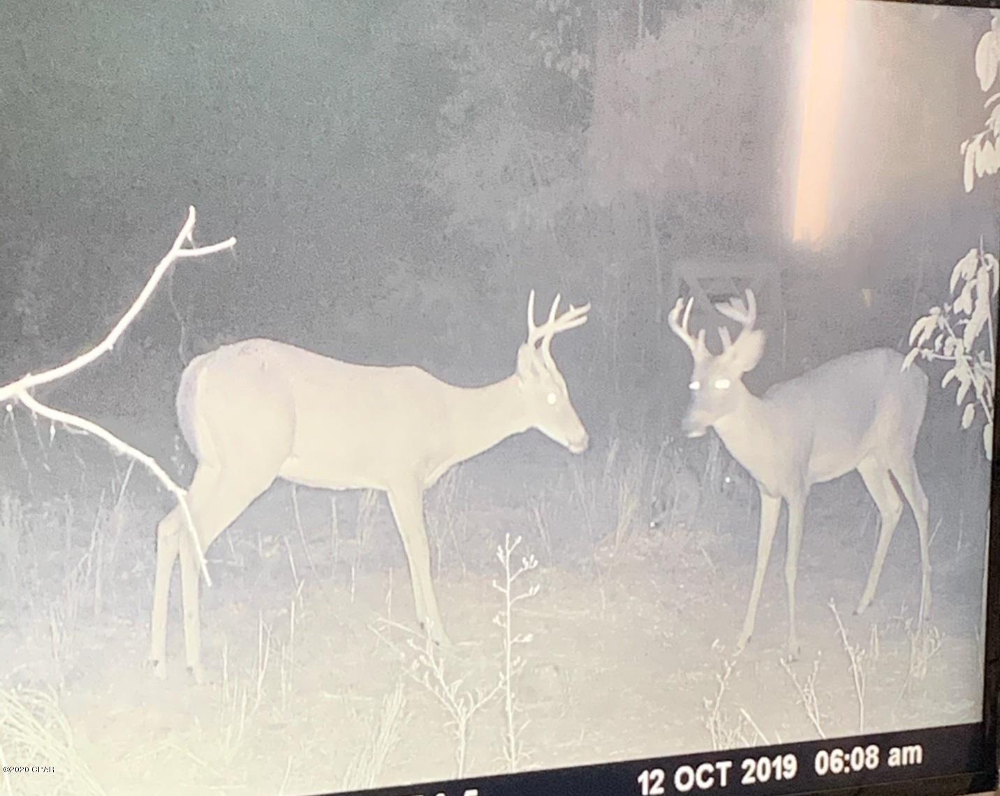 [No Recorded Subdiv] - Land