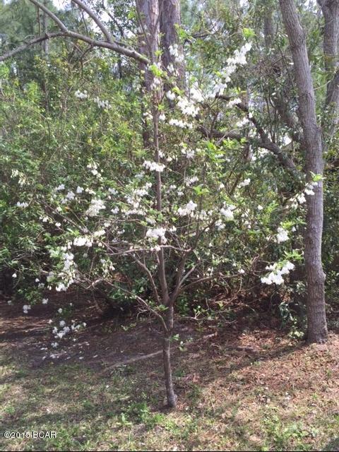 Callaway Point - Residential