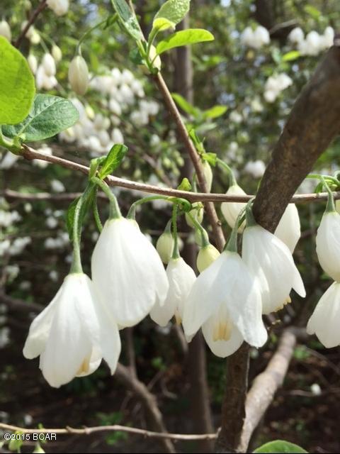 Callaway Point - Residential