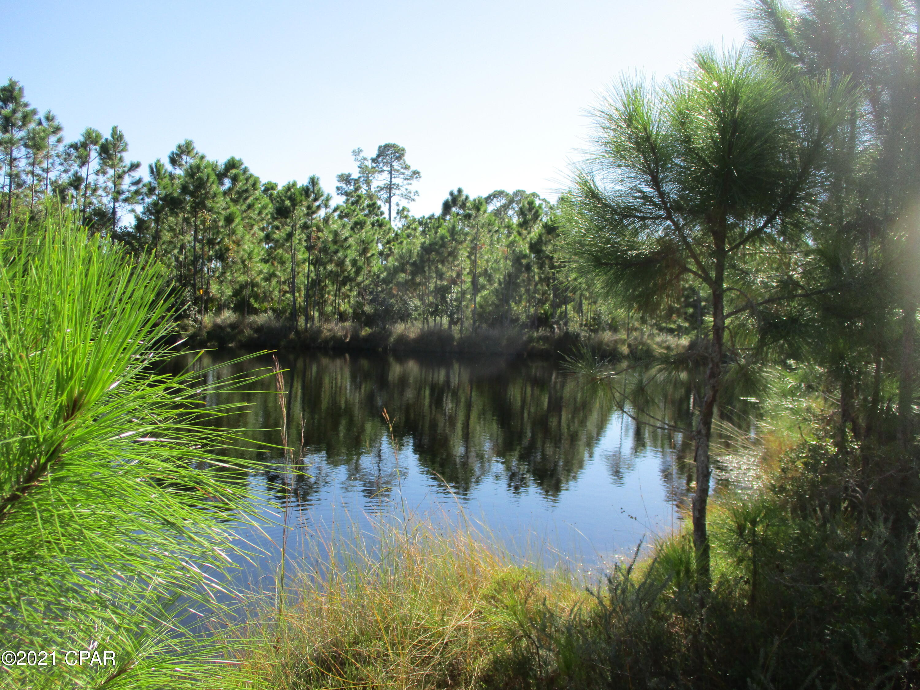 Martinique Phase III - Land