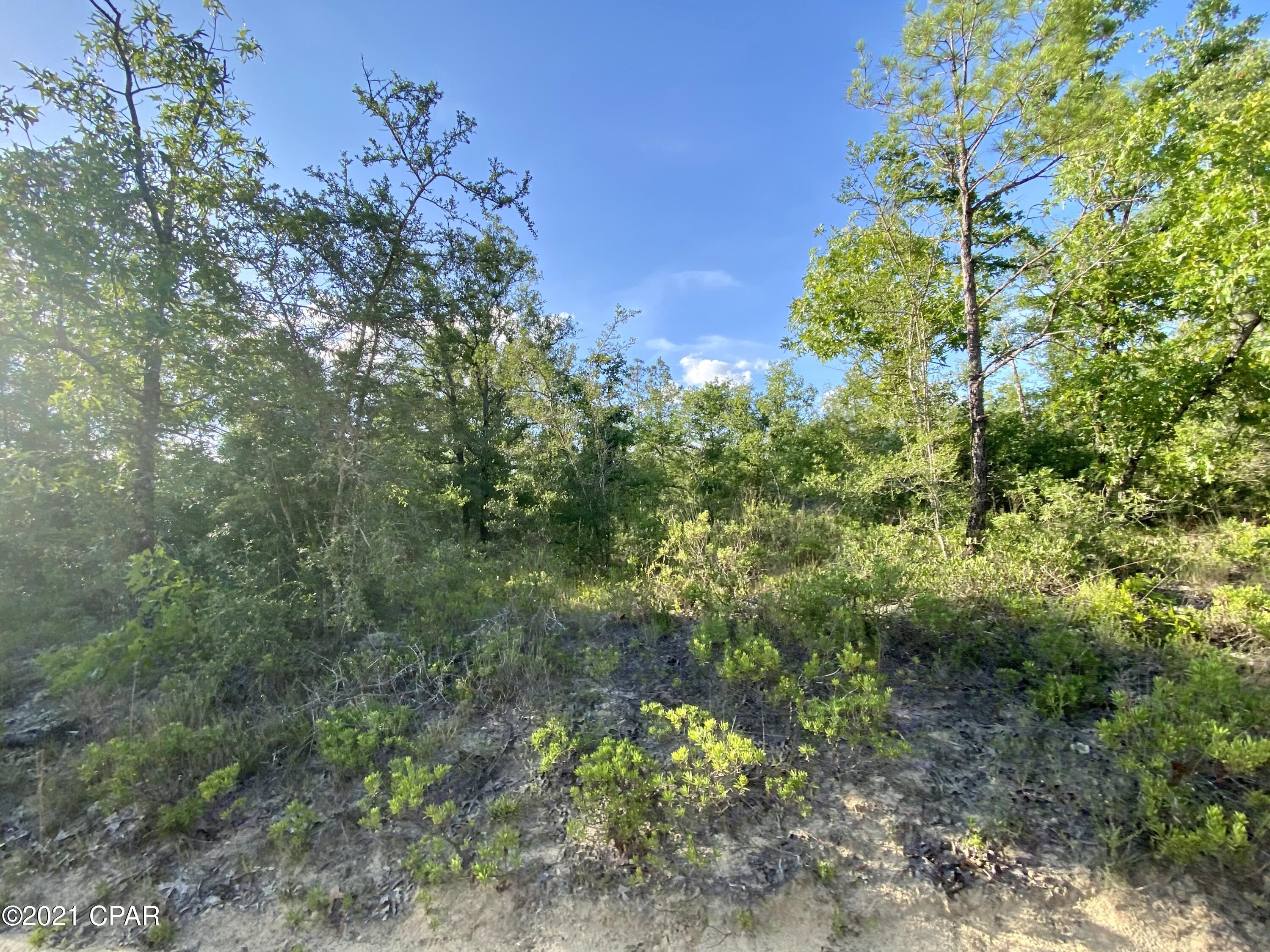 Goshun Creek Acres - Land