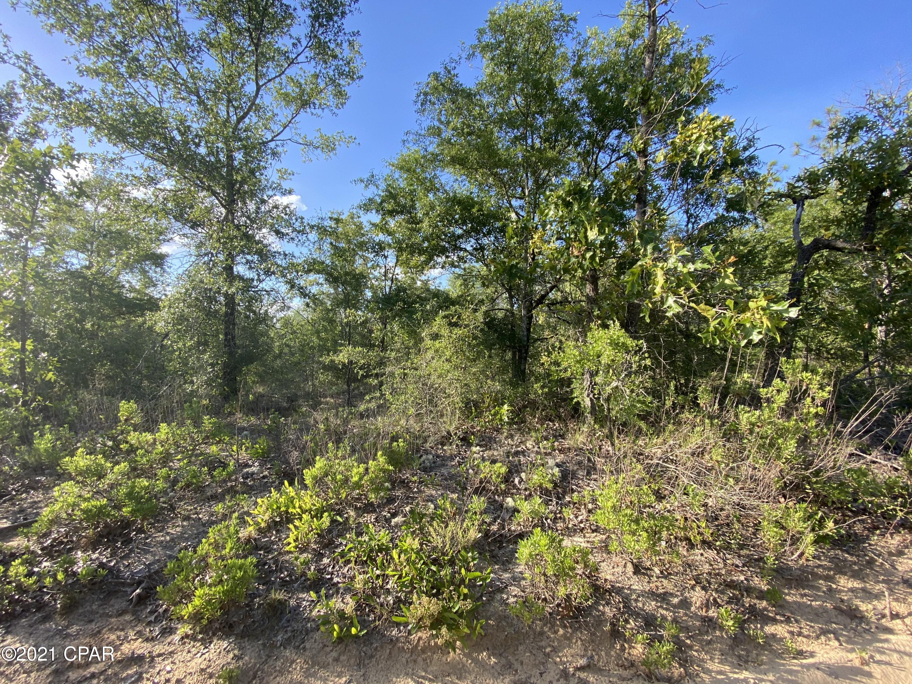 Goshun Creek Acres - Land