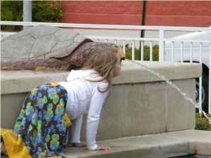 Laguna Beach Estates 9th Add - Land