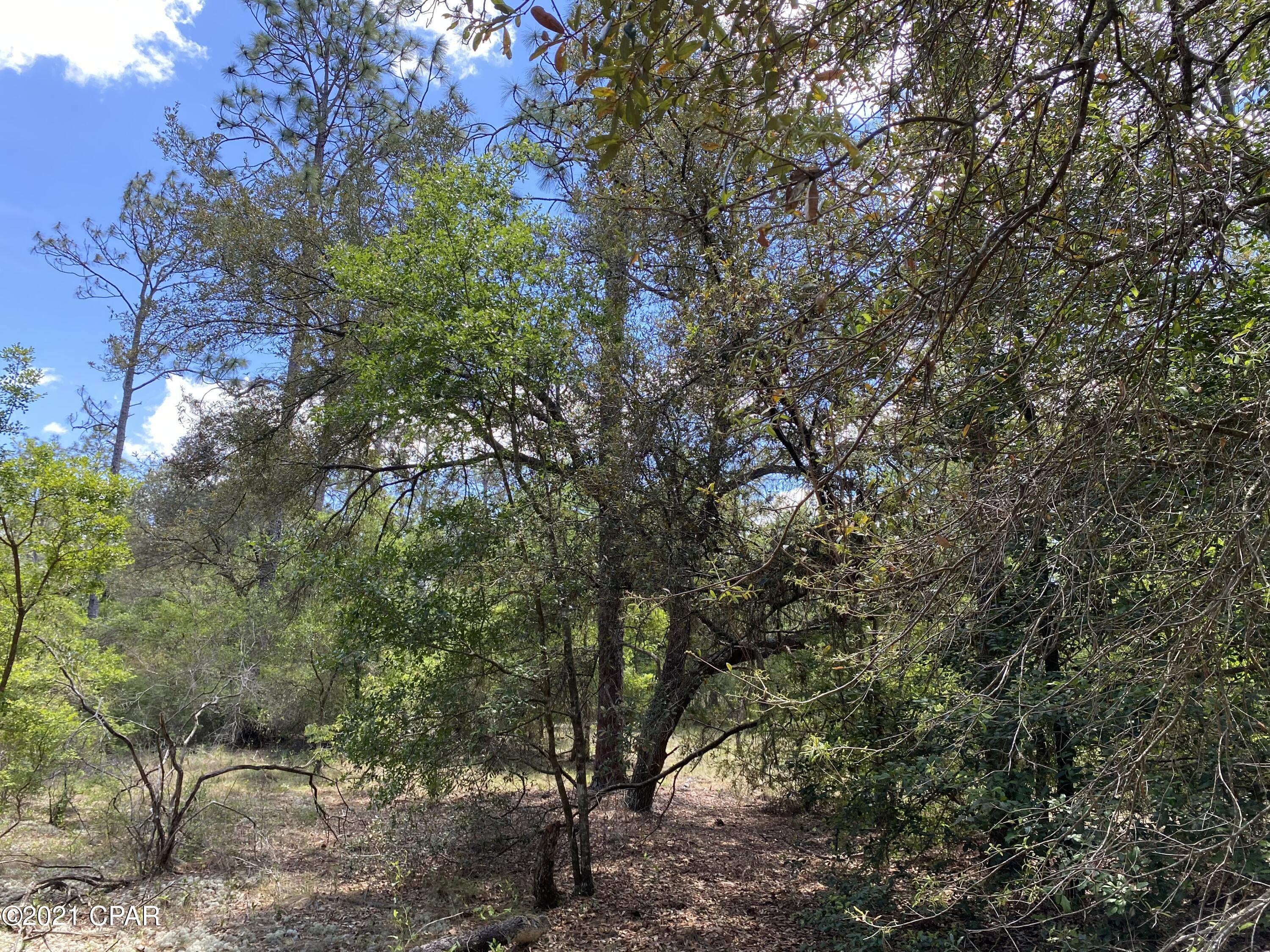 Leisure Lakes - Land