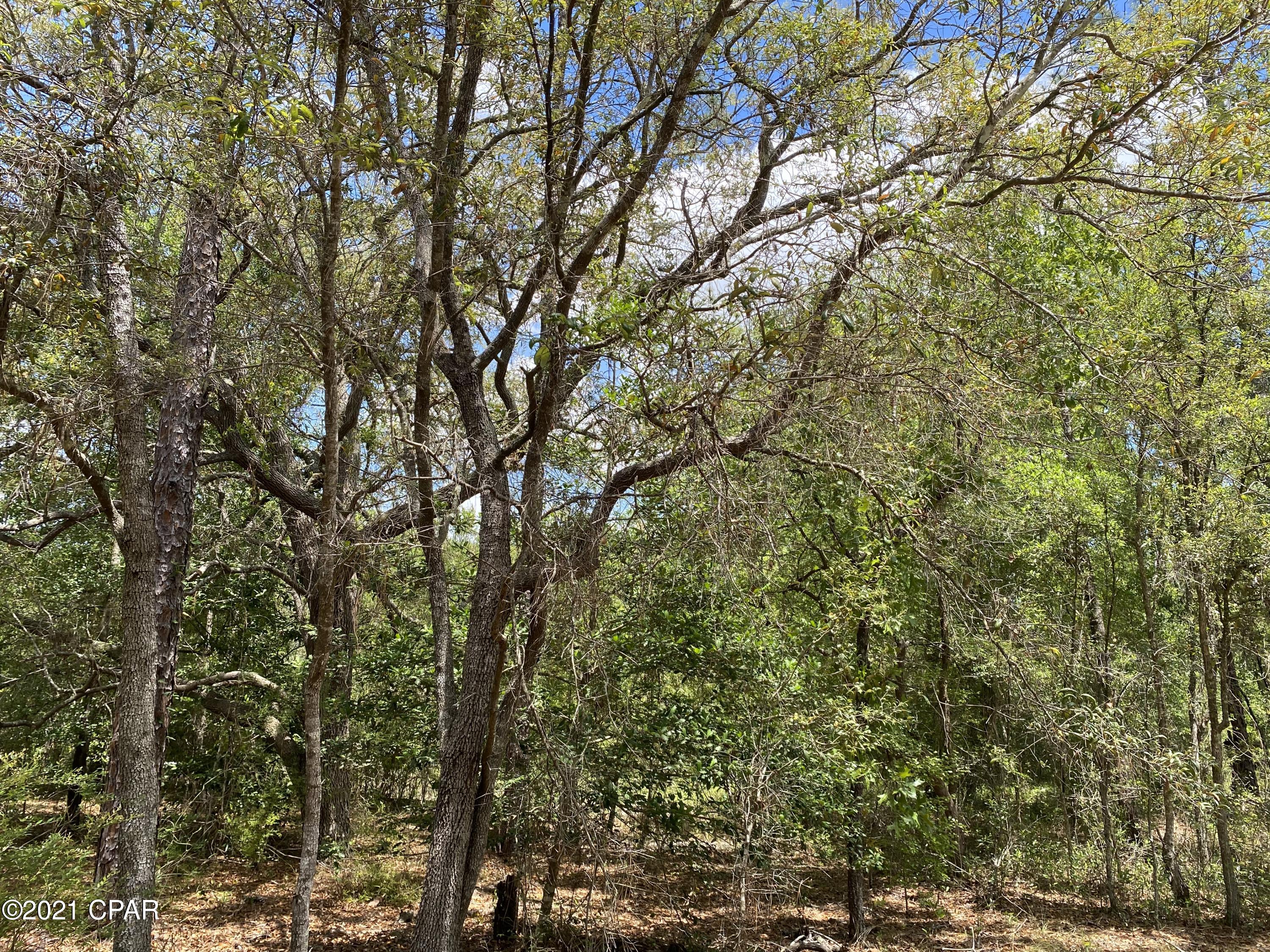 Leisure Lakes - Land