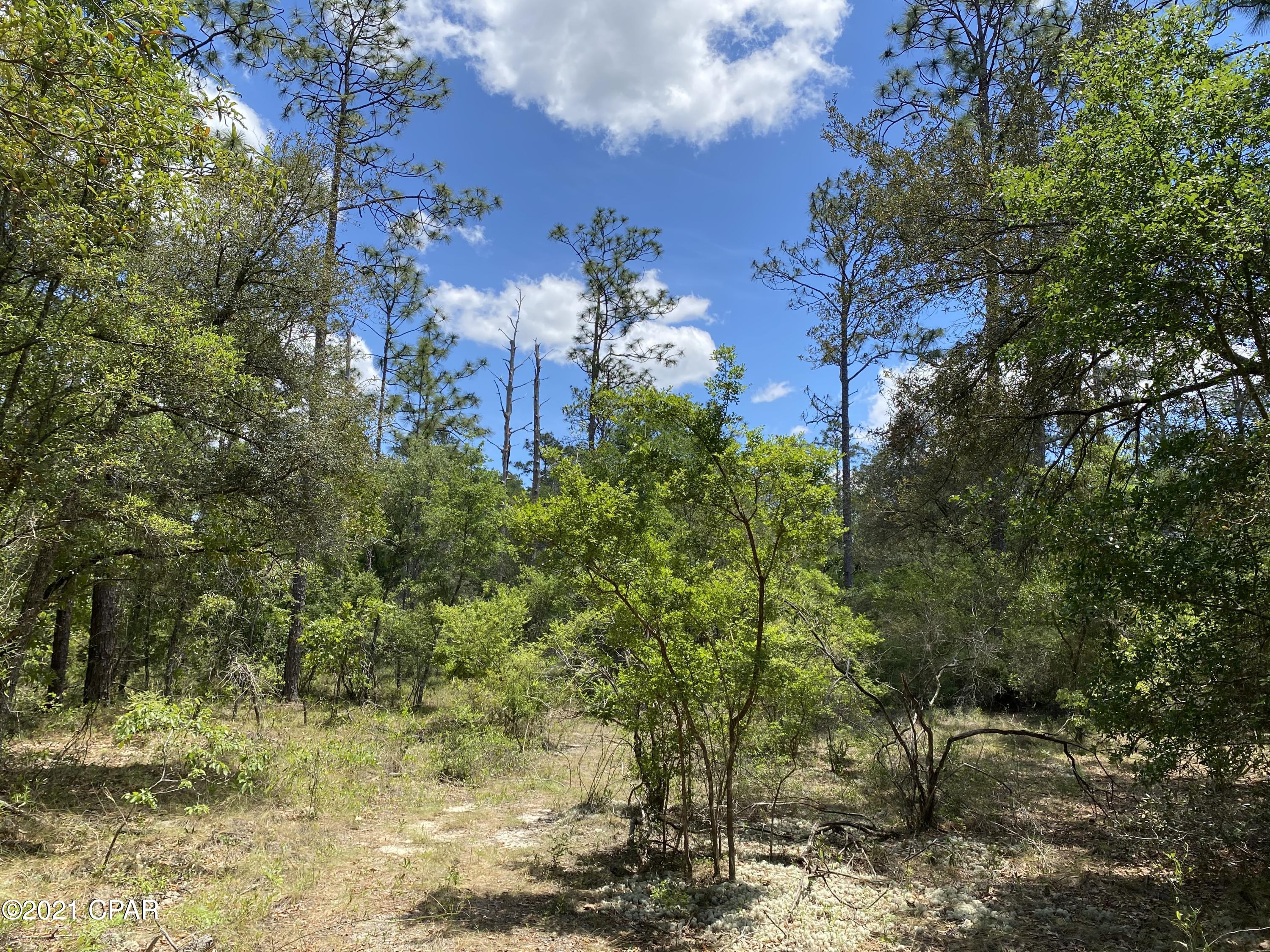 Leisure Lakes - Land