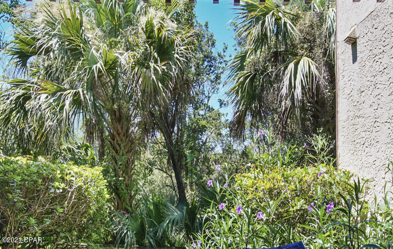 Beachwalk Condo - Residential