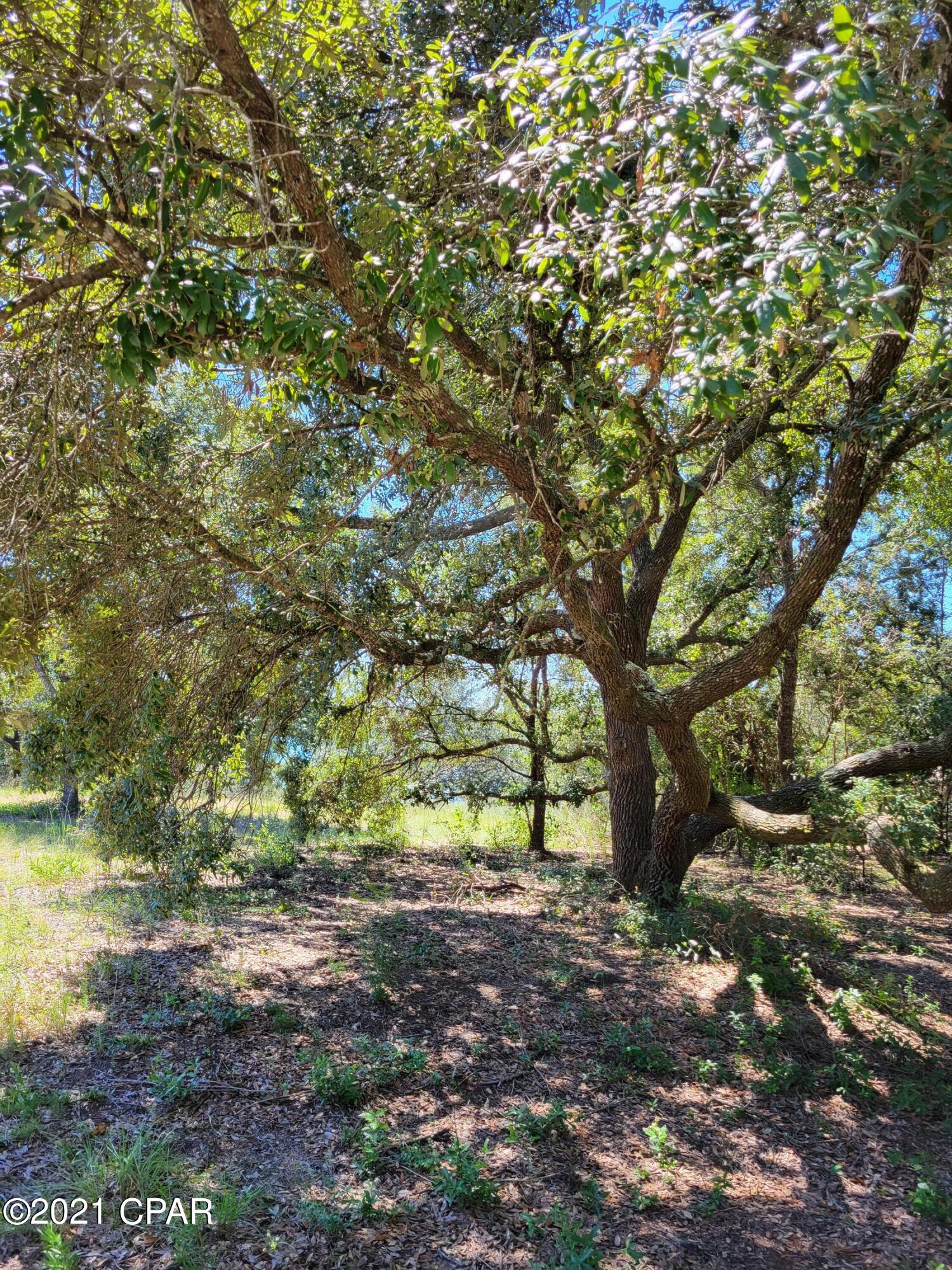 Leisure Lakes - Land