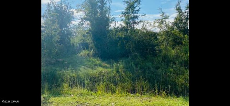 Half acre lot located in the neighborhood of College Point.   Large enough to build your dream home and only a short distance to the Bay.  All measurements are approximate and to be verified by Buyer.