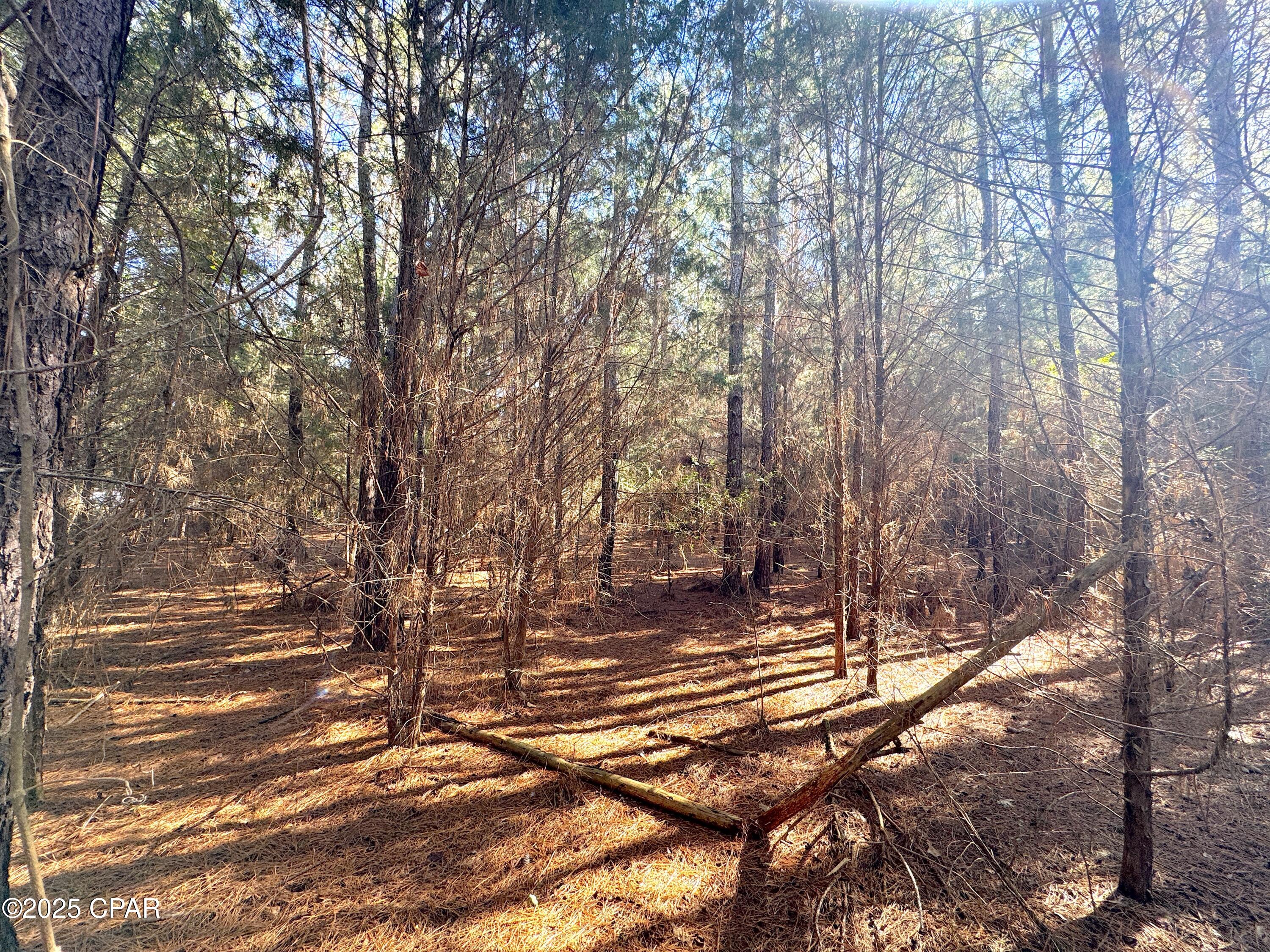 No Named Subdivision - Land