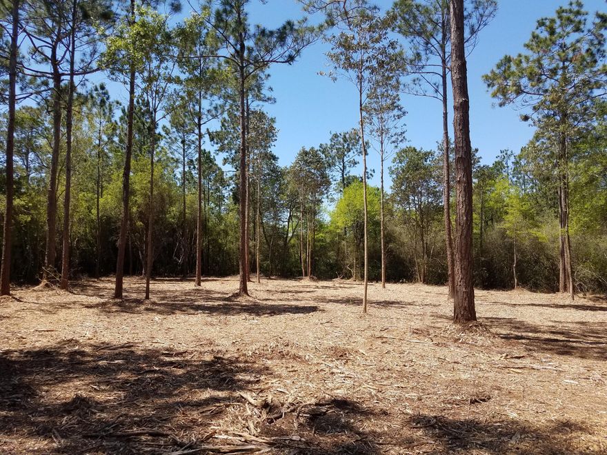 just short of 1.5 Acres AVAILABLE again.  Seller has done major clearing 135 x 235 which offers a financial bonus to buyers. This large parcel is located in a Cul-de-Sac and on a paved road. Property is Convenient to schools and shopping. Zoned R-2