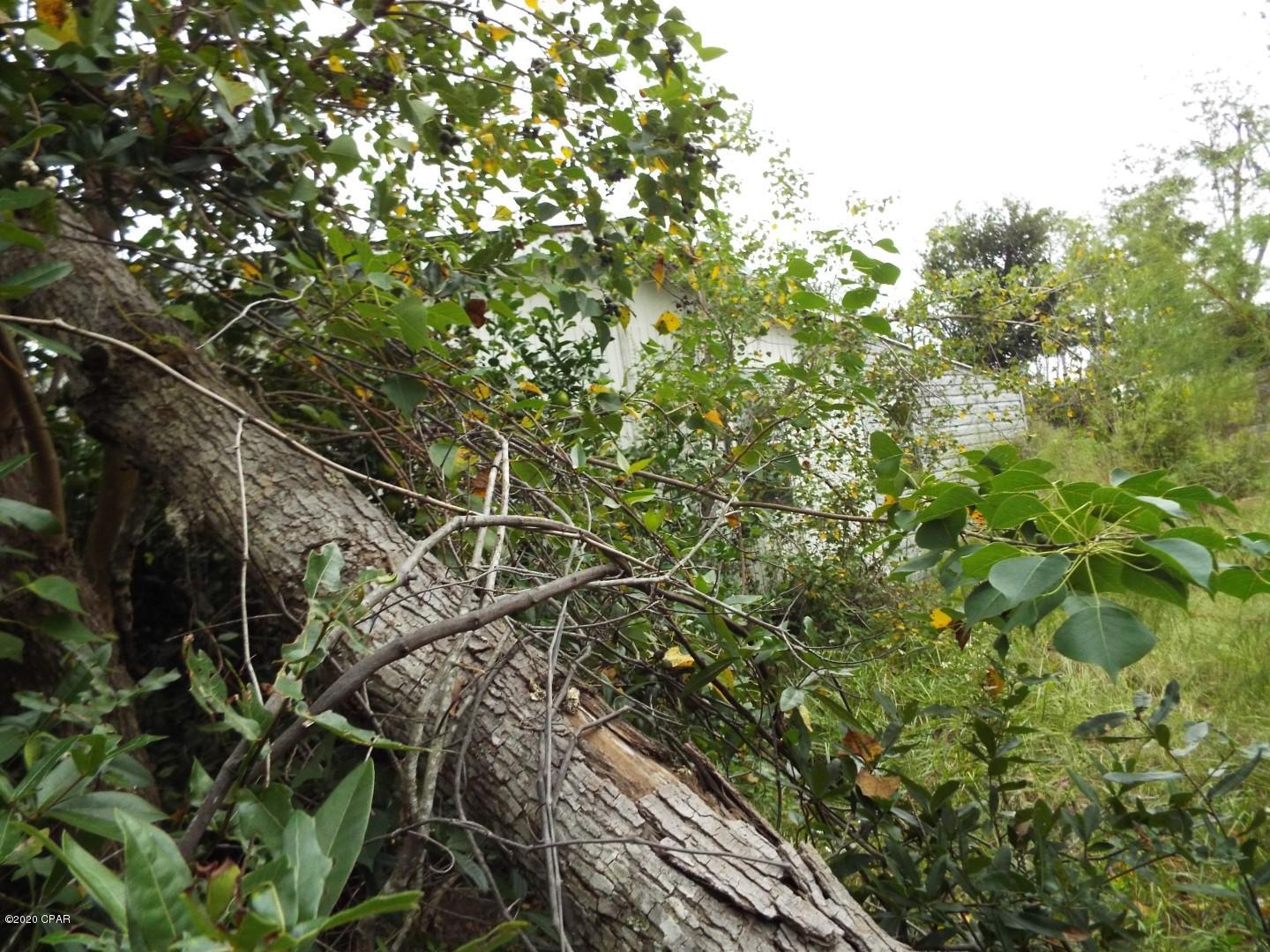 Floribay - Residential