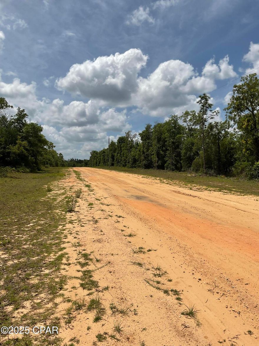 Imagine a breathtaking, winding dirt road that leads you to a picturesque 1.25 acre lot tucked away, surrounded by nature at its finest! With power pole access already available, providing endless opportunities to create your dream home or home away from home. With access to Compass lake in the Hills amenities like camping, boating, restaurants and night life, swimming in the community pool or beautiful lakes that surround you. So many reasons to come enjoy the country life! Give me a call, or take a nice Sunday drive and see for yourself!