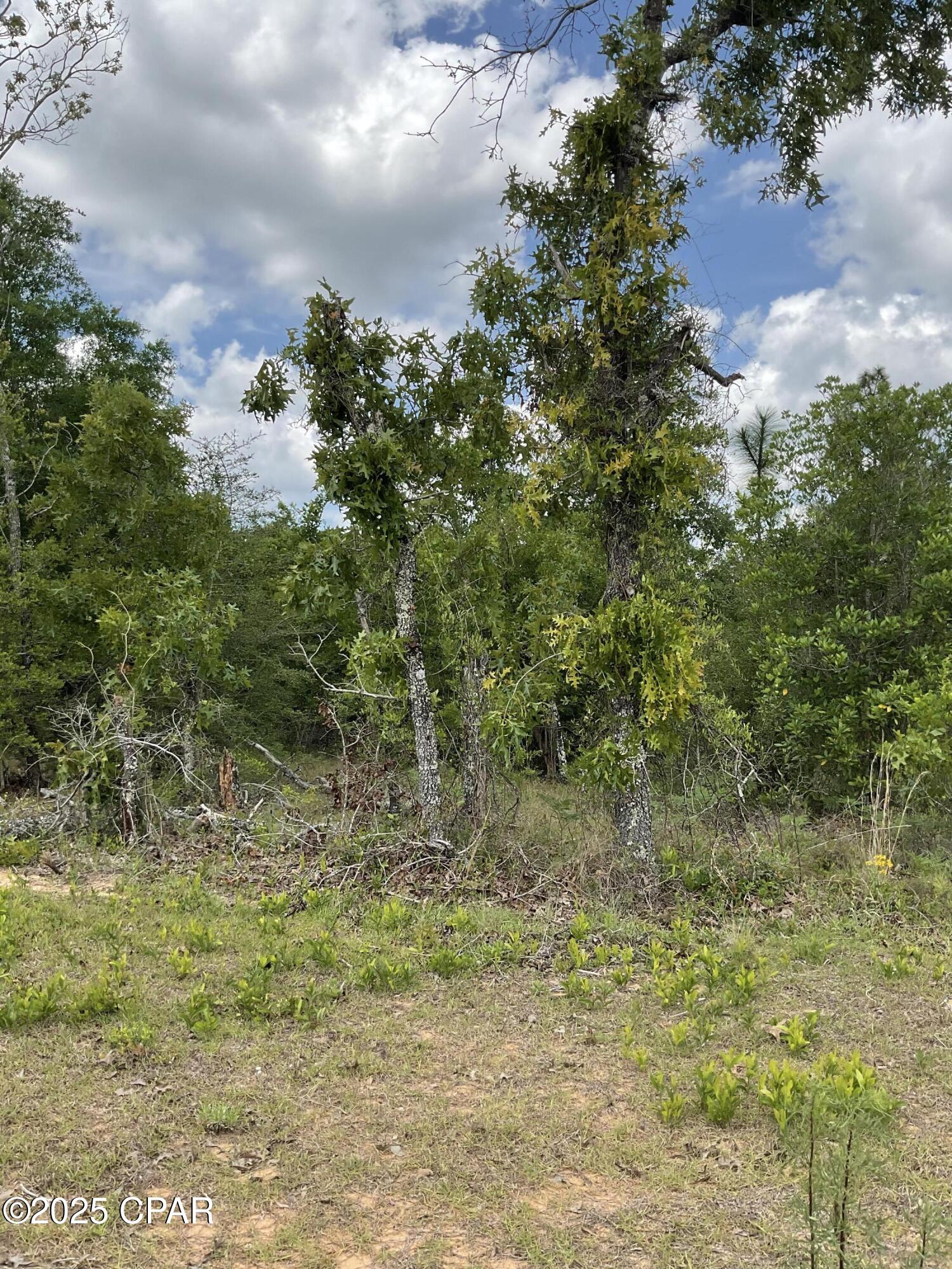 Compass Lake Hills Unit 6 - Land