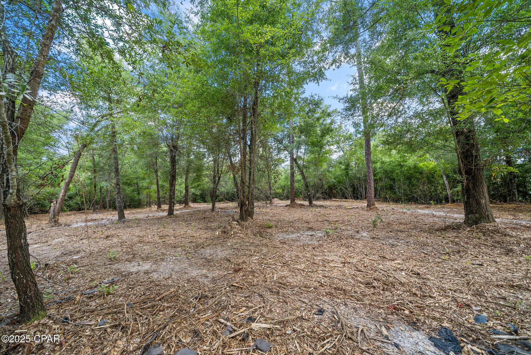 Cedar Ridge - Residential