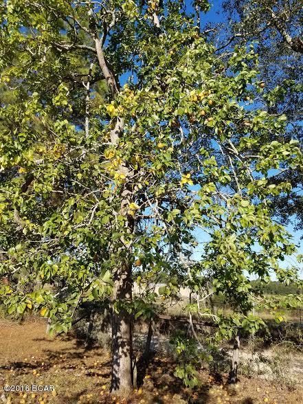 Russ Lake Estates - Land