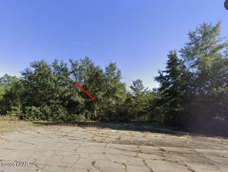 Large Buildable CUL DE SAC Lot! Sunny Hills Florida