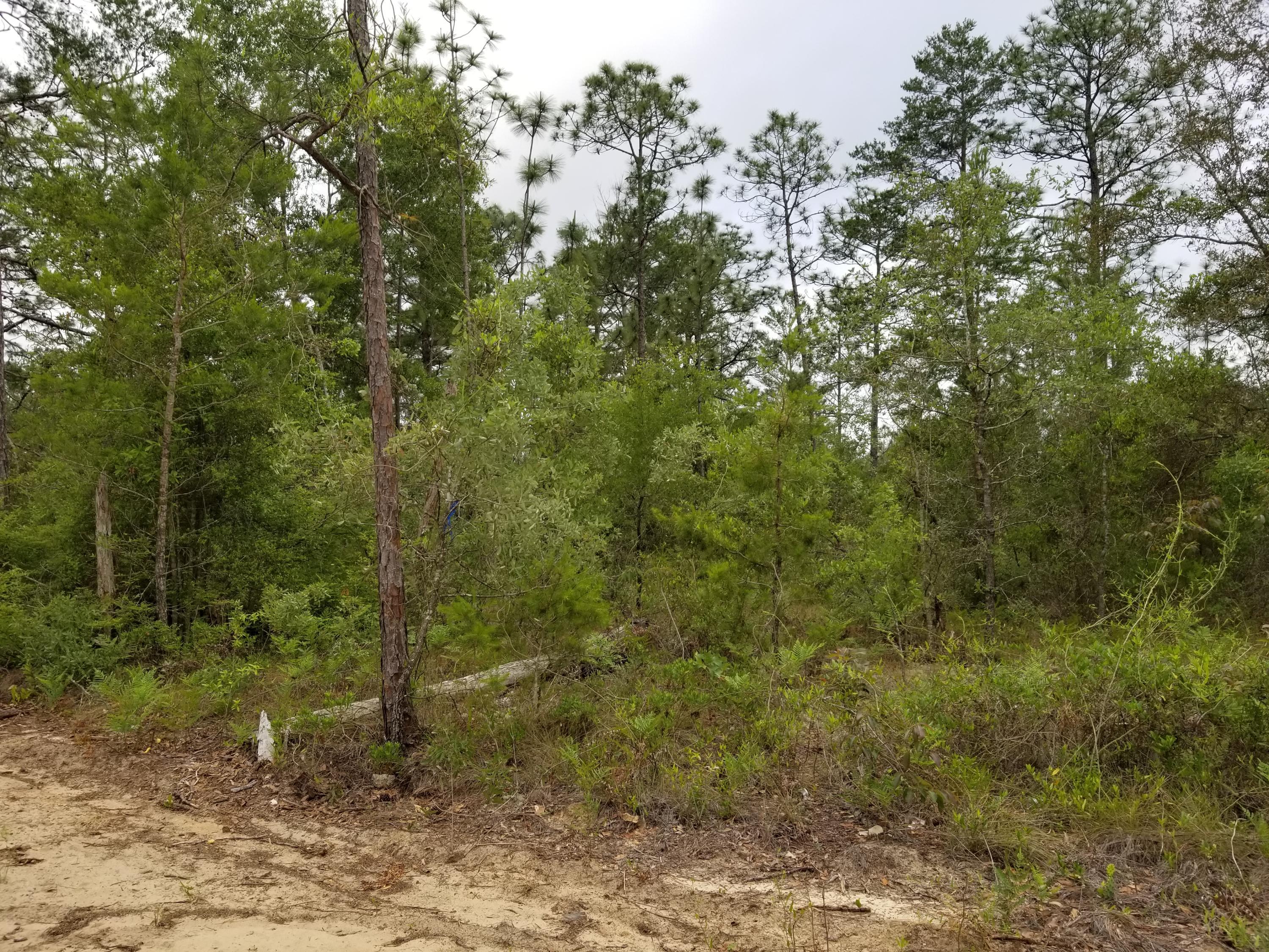 Sunny Hills - Residential