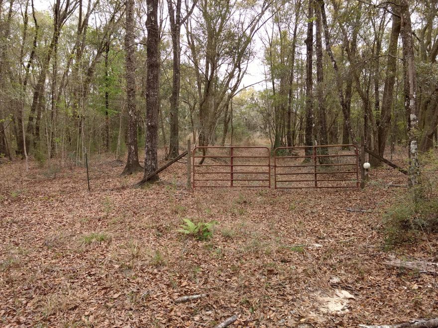 Great location, not far from I-10. If you want something secluded this is it. 18 acres, more or less. Lots of frontage on Simmons road. When you enter property through the gate, you will go on a long drive through woods to top of hill. Lots of big hardwoods and other trees. Hill top is partly cleared and would made great home site. Lots of deer and wildlife in this area.