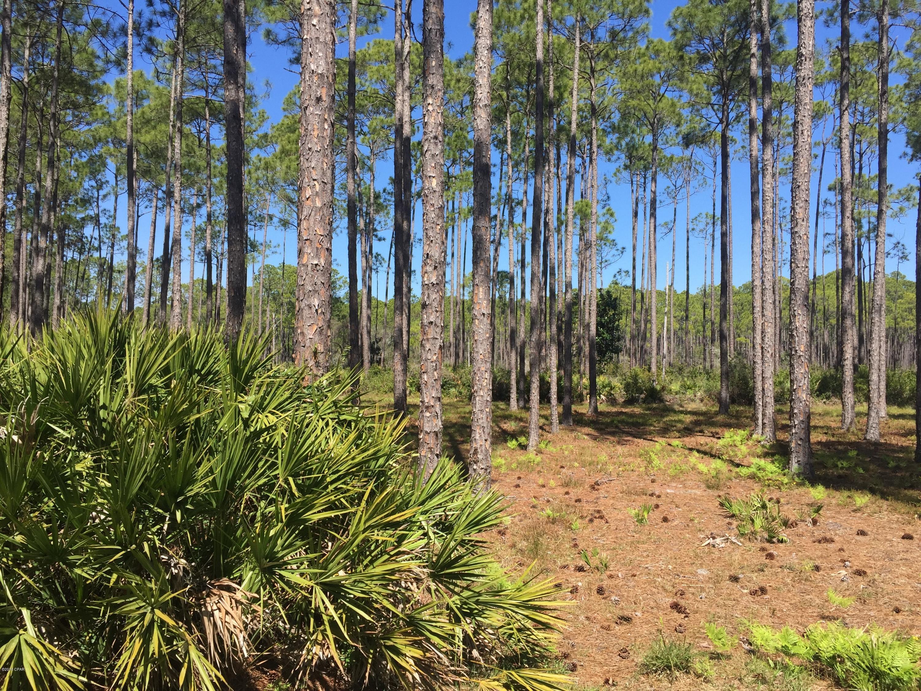 Rivercamps On Crooked Creek Ph 2 - Land