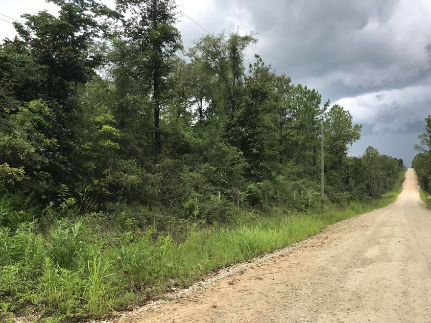 20 acres of raw woods that would be perfect for hunting acreage or to build a private home on.  There is a creek on the property as well.    It is zoned for Agriculture use which includes low density residential, accessory use buildings such as storage buildings or barn, and outdoor recreations usage such as hunting or gun clubs and lodges/camping.  Take a drive to view this beautiful untouched land.