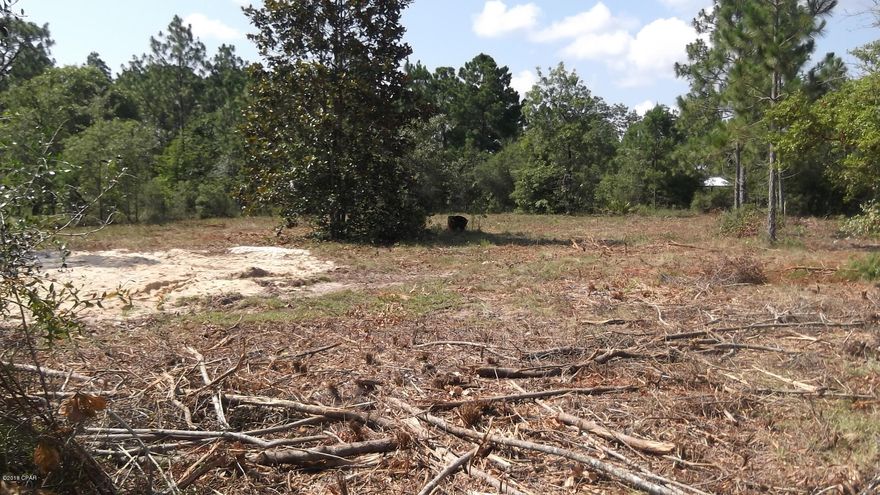 Residential Lot that has a paved highway frontage on Hwy 274. Property has a well, septic tank and electric that was working three years ago. Also has a concrete slap where a shed was torn down.There is a mobile home on property that needs a lot of work. No title to mobile home. Property is app. 1 hour from Panama City Beach. 

*All measurements are approximate and should be verified by buyers if important
