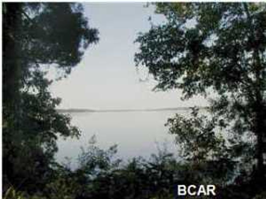 1.1 ACRE BEAUTIFUL WATERFRONT LOT ON A HIGH BLUFF OVERLOOKING THE MAIN PART OF DEERPOINT LAKE. WHAT A GREAT PLACE TO PLAN YOUR DREAM HOME WITH 99 FEET OF WATERFRONT! BUILD AMONG THE HARDWOODS AND PALMS NOW OR HOLD ONTO THE LAND FOR YOUR FUTURE RETIREMENT HOME. IT'S THE PERFECT SPOT FOR PRIVACY, AND WHAT A GREAT INVESTMENT. THIS PROPERTY ACTUALLY AFFORDS PLEASURE FOR BOATING ENTHUSIASTS! HOP ON BOARD AND START ENJOYING DEERPOINT LAKE!