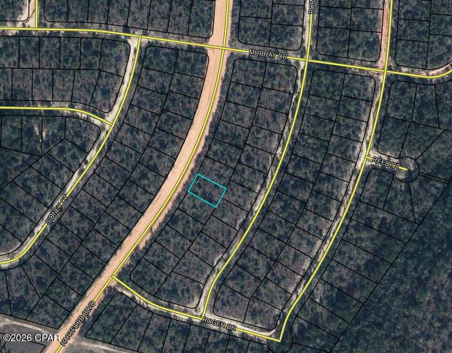 If you are looking to own a piece of property at a low entry point this is the one. The neighboring lot is also for sale at the same price.